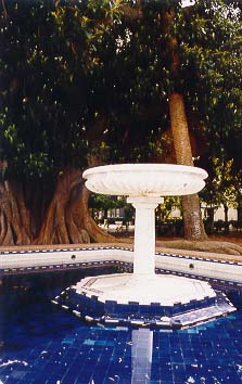 Alameda de Apodaca