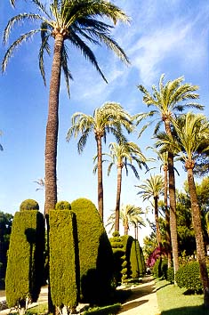 Parque Genov�s
